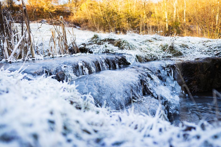 A frozen stream in a winter landscape, showcasing frosty grass and ice, Newcastle-under-Lyme.