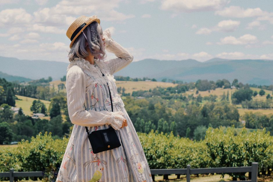 A woman in a vintage dress gazes over a beautiful countryside landscape.