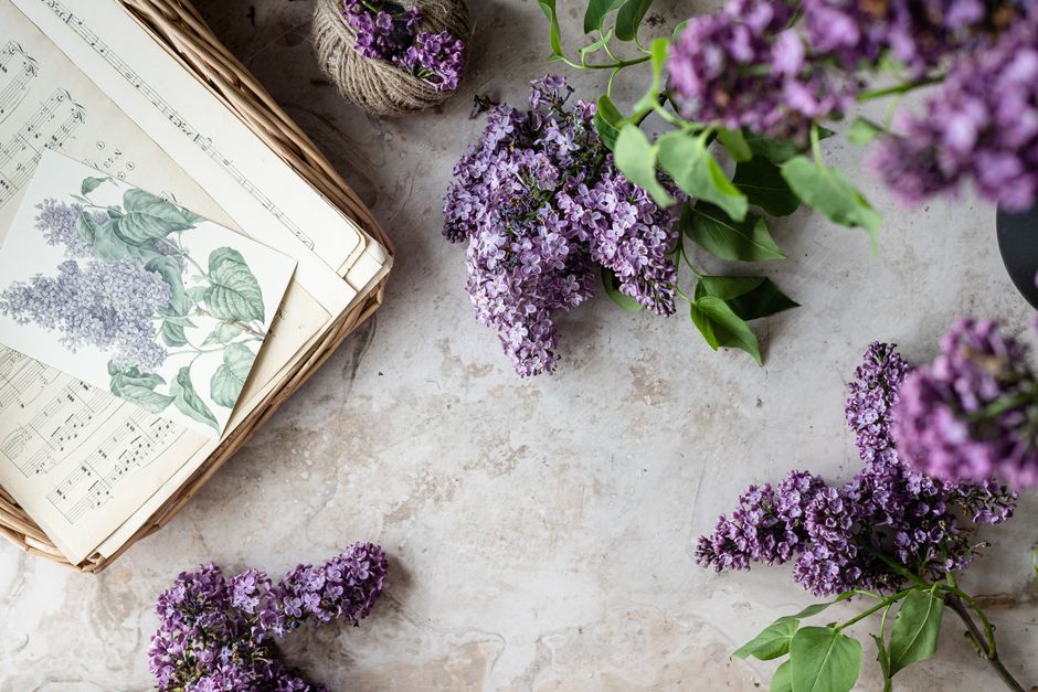 Lilac flowers and music sheets arranged on a marble surface create an artistic and serene setting.