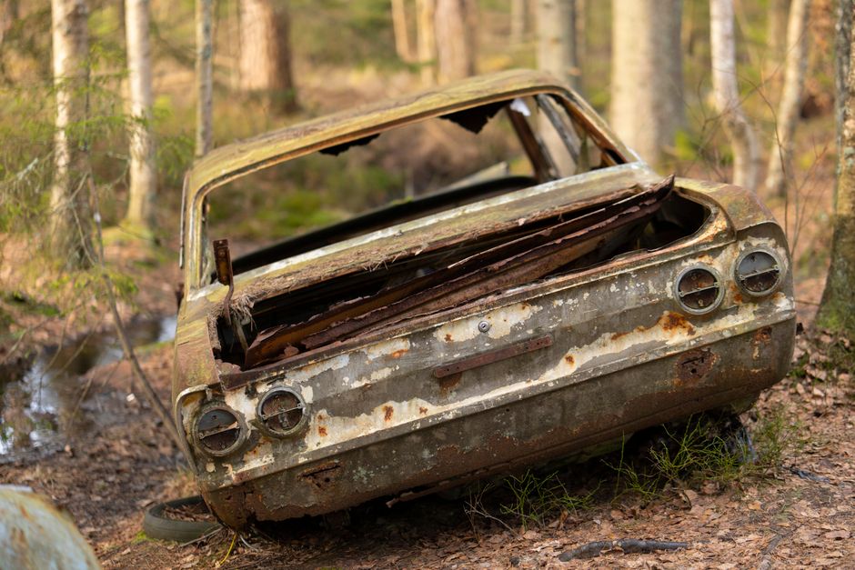 Decaying car left in a serene forest, showcasing nature's reclamation.